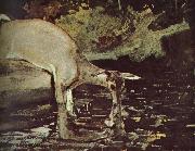 Deer drink Winslow Homer